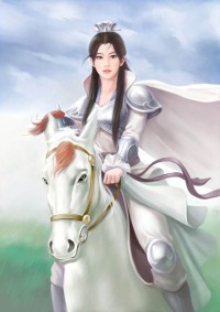 《冒牌穿越者》