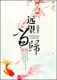 《(清穿)远望当归》