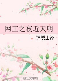 《(网王同人)网王之夜近天明》