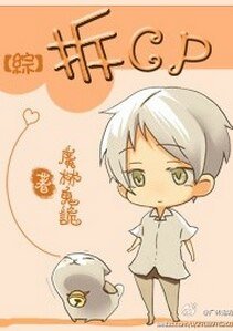 （综同人）[综]拆cp
