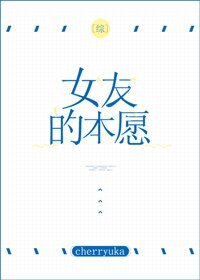 （综同人）[综]女友的本愿