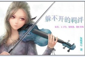 《(网王同人)王子们,别烦我,我忙着呢/躲不开的羁绊》