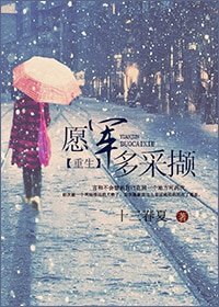 重生之愿军多采撷