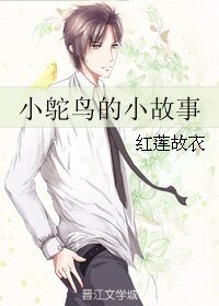 小鸵鸟的小故事