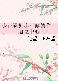 《(少年正义联盟同人)少正遇见小时候的你,迪克中心》