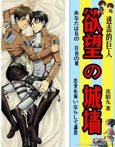 《(进击的巨人同人)欲望城墙ABO》