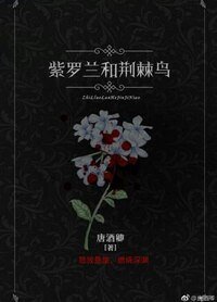 《紫罗兰和荆棘鸟》