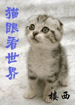 （猎人同人）猫眼看世界