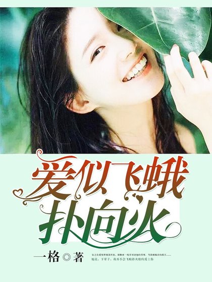 爱似飞蛾扑向火