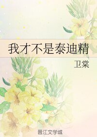 我才不是泰迪精