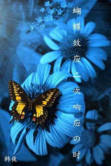 《蝴蝶效应二次响应の时》