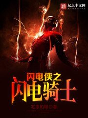 （闪电侠同人）闪电侠之闪电骑士