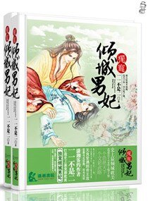 《独宠倾城男妃》