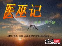 医巫记