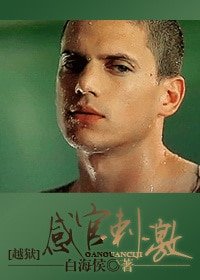（越狱同人）感官刺激