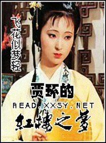 （红楼同人）贾环的红楼之梦