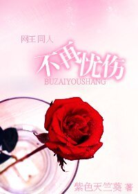 《(网王同人)不再忧伤》