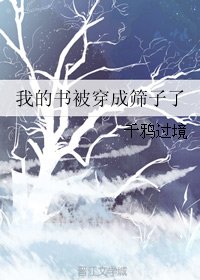 我的书被穿成筛子了