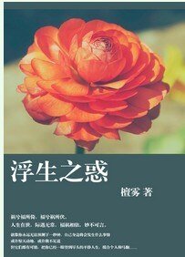 《浮生之惑》