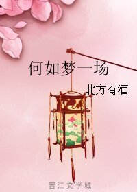何如梦一场