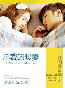 《总裁的暖妻》