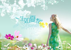 《(网王同人)网王之生如夏花》