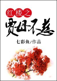 《(红楼同人)红楼之贾母不慈》