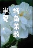 半夏，转角茉莉