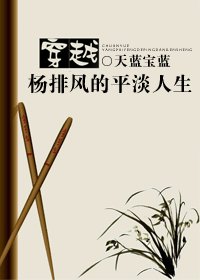 《穿越--杨排风的平淡人生》