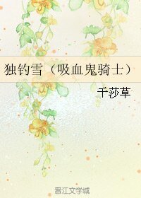 《(吸血鬼战士同人)独钓雪(吸血鬼骑士)》