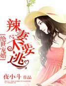 绝世宠婚：辣妻，不要…