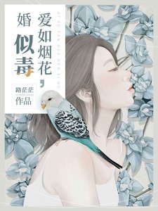《爱如烟花,婚似毒》