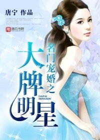 《名门宠婚之大牌明星》