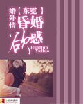 《婚外情:婚昏欲惑》