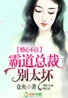 《婚心不良,霸道总裁别太坏!》