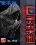 重生于亡灵禁地