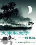 《大宋私生子》