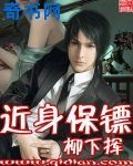 《近身保镖》