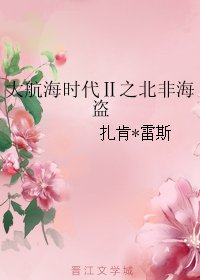 大航海时代Ⅱ之北非海盗