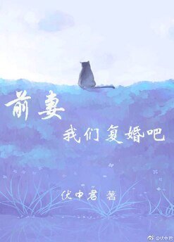 前妻，我们复婚吧！