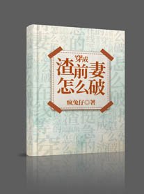 《穿成渣前妻怎么破》