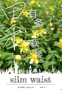 《田禾有条小软腰》