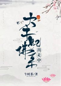 《太子妃佛系出走中》
