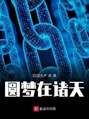 《圆梦在诸天》