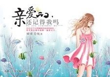 《王子:亲爱的,你还记得我吗》