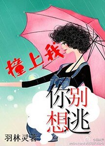 撞上我，你别想逃