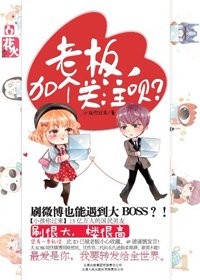 老板，加个关注呗？(网络版)