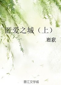 匿爱之城（上）