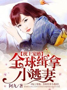 枕上宠婚：全球缉拿小逃妻/枕上宠婚：狼性老公要够了没