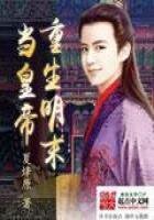 《重生明末当皇帝》